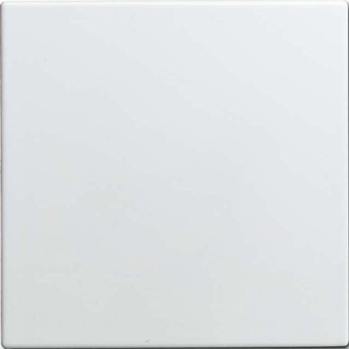 Busch-Jaeger Blindzentralscheibe 1576 C-914 2CKA001582A0401