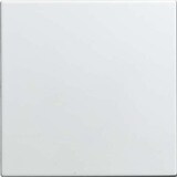 thumbnail of Busch-Jaeger Blindzentralscheibe 1576 C-914 2CKA001582A0401