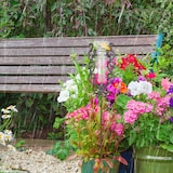 thumbnail of Relaxdays Regenmesser Vintage mit Erdspieß, Deko Niederschlagsmesser, antik, 12cm 5 inch, Glas, Metall, verziert, bronze