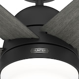 thumbnail of DC Deckenventilator Arete Schwarz mit Licht & Fernbedienung 132