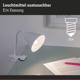 thumbnail of Paulmann Klemlamp Vitis Flexarm snoerschakelaar  Wit 230V E14 95431