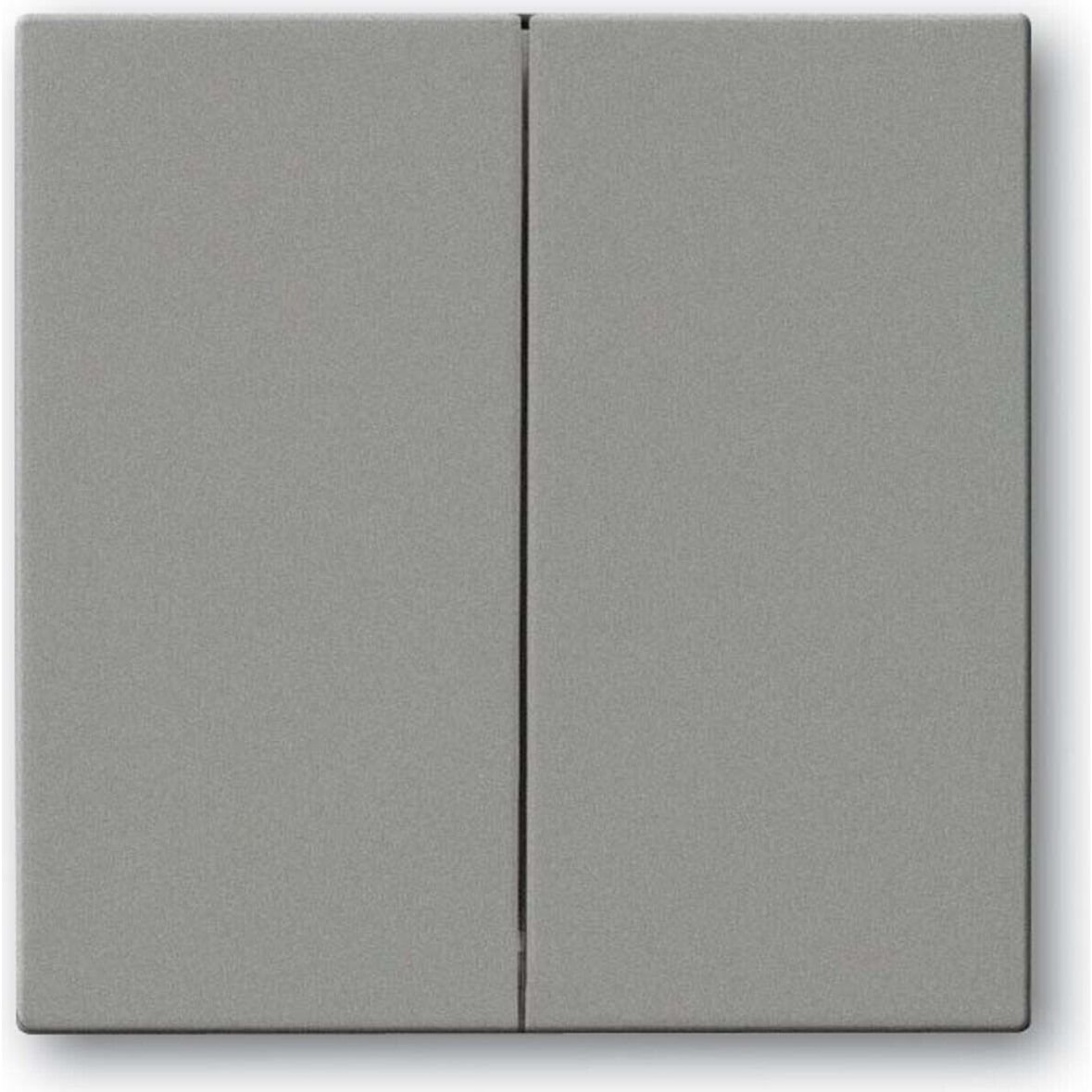 Busch-Jaeger Wippe gr/met 6736 FoH-803 2CKA006730A0137