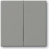 thumbnail of Busch-Jaeger Wippe gr/met 6736 FoH-803 2CKA006730A0137