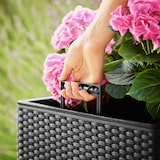 thumbnail of DEUBA® Blumentopf Rato Anthrazit 64 Liter
