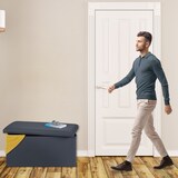 thumbnail of Relaxdays Sitzbank, Stauraum, Kunstleder, faltbar, gepolstert, Flur, Schlafzimmer, HBT 37,5 x 76,5 x 38,5 cm, dunkelgrau