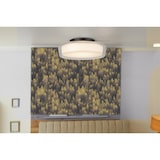 thumbnail of Plafoniera Contemporanea Disco Acciaio Nero Vetro Trasparente Led 14W 3000K