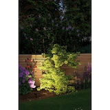 thumbnail of Paulmann Plug & Shine LED Gartenstrahler Sting Basisset  IP67 3000K 3x6,4W  75VA Anthrazit 93696