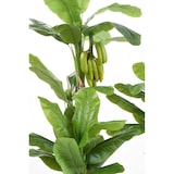 thumbnail of VERT ESPACE plante artificielle bananier tree avec fruits 180 cm