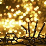 Lichterkette mit warmweißen LEDs.