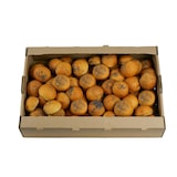 thumbnail of Un pack de 100  Mini buns aux pavots (100 mini buns de 30g)