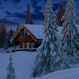 thumbnail of LED Lichtervorhang Eisregen Lichterkette Icicle 259 bernstein LED 11m Außen