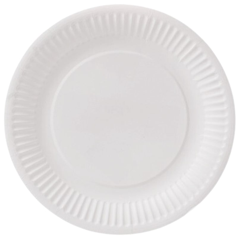 500x Pappteller Ø 23 cm Frischfaser weiß