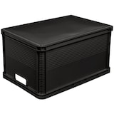 thumbnail of Keeeper - Caixa de Transporte em Polipropileno 64 L na cor Cinza Grafite 60x40x32 cm - Coleção Robert