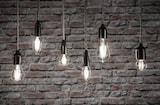 thumbnail of Paulmann LED Birne Filament   E27 230V 2x806lm 2x7W 4000K  Matt 28924