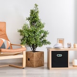 thumbnail of Relaxdays Aufbewahrungsbox 4er Set, faltbare Regalboxen, HxBxT: 30x30x30 cm, mit Griffen, Faltboxen für Regale, grau