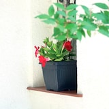 thumbnail of Prosperplast - TERRA 1,7-l-Blumentopf – 15 x 15 x 13 cm in Terrakottafarbe