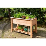 thumbnail of Westmann Verhoogde Plantenbak Emily 120x65x75 cm - Moestuinbak WM102420