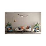 thumbnail of CasaFan 315276 ECO GENUINO-L Deckenventilator mit Licht, 152 cm, dunkles Walnussholz