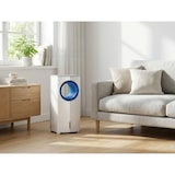 thumbnail of PURLINE Climatiseur évaporatif sans pales RAFY40N