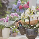 thumbnail of GARDENA Pumpsprüher 1 l 1111220