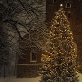 thumbnail of Illu- Party Lichterkette Außenlichterkette 5m weiß 5 warmweiße LED Kugellampen