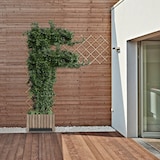 thumbnail of Relaxdays Rankgitter ausziehbar, 3er Set, Rankhilfe Kletterpflanzen, 180x90 cm, Garten, Balkon, Terrasse, Holz, natur