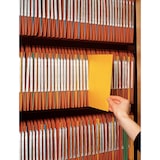 thumbnail of Esselte, Dossier suspendu latéral armoire DUAL, fond V, Boite de 25, Orange, 21627