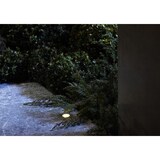 thumbnail of Außenbodenspot „Atria“ in Edelstahl (optional mit Smart Funktion)