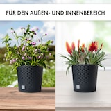 thumbnail of 2 x Blumentopf Blumenkübel Pflanzentopf Pflanzkübel Blumenkübel Rattan groß 2 x Ø 20 cm