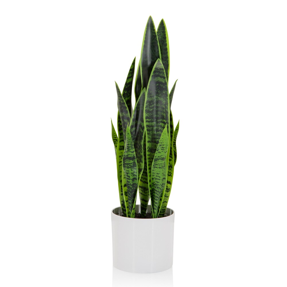 Planta artificial / árbol artificial SANSEVIERIA plástico verde hjh OFFICE
