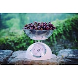 thumbnail of Lacor – 61714 – Retro-Küchenwaage aus Stahl, 5 kg – Rot