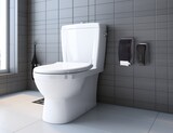 thumbnail of *SALE* Toilettenbürste Designer Blanc, Wandmontage, hängend, geschlossen, verschiedene Designs : Farbe - Weiß (mit verchromten Elementen)