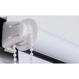 thumbnail of Doppelrollo weiß/60x150 cm