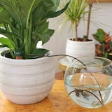 thumbnail of Bewässerungs-Set, 3er-Satz