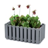 thumbnail of Prosperplast - BOARDEE FENCYCASE Balkonkasten - 58x18x16,2cm in Anthrazit farbe