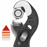 thumbnail of KNIPEX   Schraubzange "Raptor" 250mm,