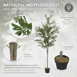 thumbnail of ML-Design – Künstlicher Olivenbaum – 180 cm | mit Früchten, Naturholzstamm, im Topf, Kunstpflanze Indoor & Outdoor