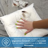 thumbnail of 2 Stück / 2er Set Federkissen 100% Federn 50x50 - 600g OEKO-TEX Kissen / Füllkissen mit Bezug aus 100% Baumwolle weiß / Innenkissen / Kissenfüllung /