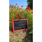 thumbnail of Wetterfeste Outdoor Kreidetafel mit Holzrahmen / Schwarz 105x55cm