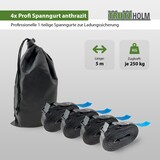 thumbnail of 4x Profi Spanngurt Gurt Zurrgurt Klemmschloss 1-tlg 5m 250 kg Anthrazit inkl. Tasche