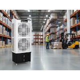 thumbnail of PURLINE Evaporative Cooler com ventilador duplo RAFY 220