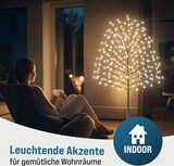 thumbnail of MONZANA® Kirschblütenbaum 2er Set 180 cm 200 LED Warmweiß