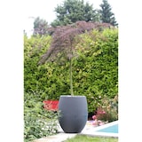 thumbnail of Pot EGG GRAPHIT anthracite 53L POETIC