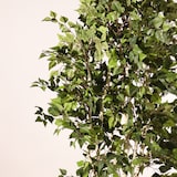 thumbnail of Planta artificial ignífuga Abedul blanco 210cm | Naturing Monde -Para interior - Tronco natural