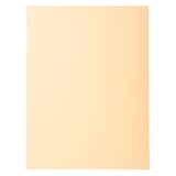thumbnail of Exacompta  Cod. 410002E - Cartelle semplici Forever® 220 100% riciclato  - F.to 24x32cm -  crema  - 5 Confezioni da 100 pz.