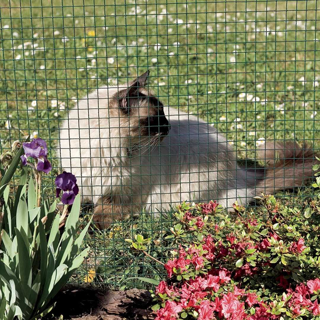 Malha de metal electro -soldado plastificado Fensanet Plast 06 1x5m Green