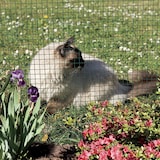 thumbnail of Malha de metal electro -soldado plastificado Fensanet Plast 06 1x5m Green