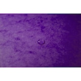 thumbnail of Exacompta 5568E 25x Eckspannmappe mit Gummizug ohne Klappe, aus Colorspan-Karton 400g/m2, für Format DIN A4 - Violett