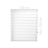 thumbnail of Estor enrollable de poliéster traslúcido 100x250