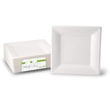 thumbnail of greenbox - Teller aus Zuckerrohr 26 x 26 cm, quadratisch, 50 St.